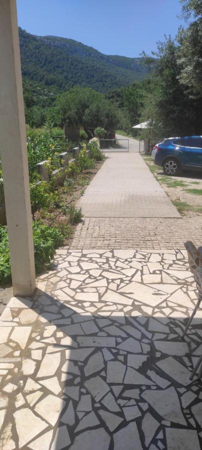 Apartmani Maslina Žuljana Exteriör bild