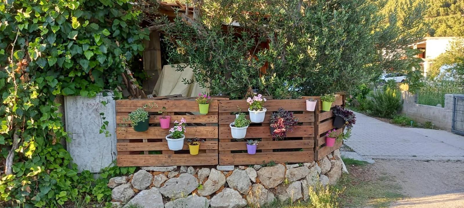 Apartmani Maslina Žuljana Exteriör bild